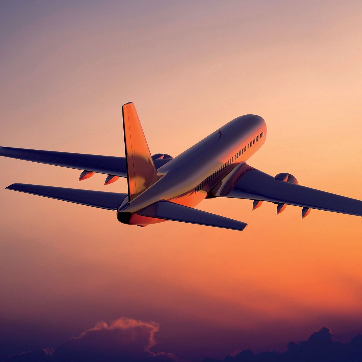 Travel