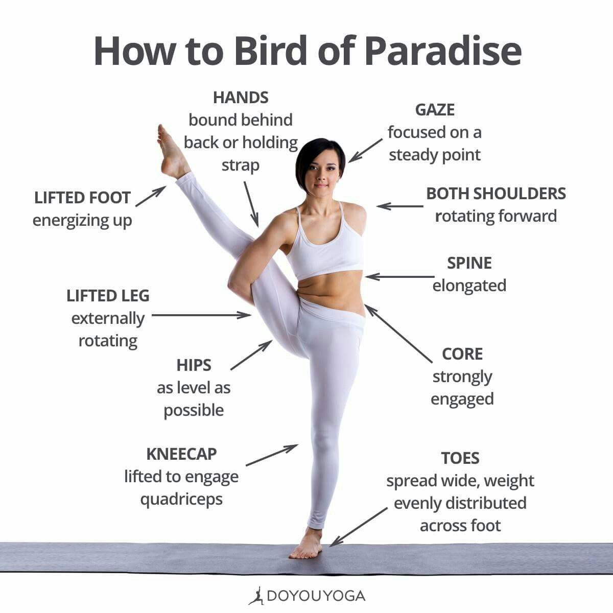 How to bird pose