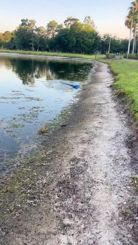 Gator stole my tacklebox