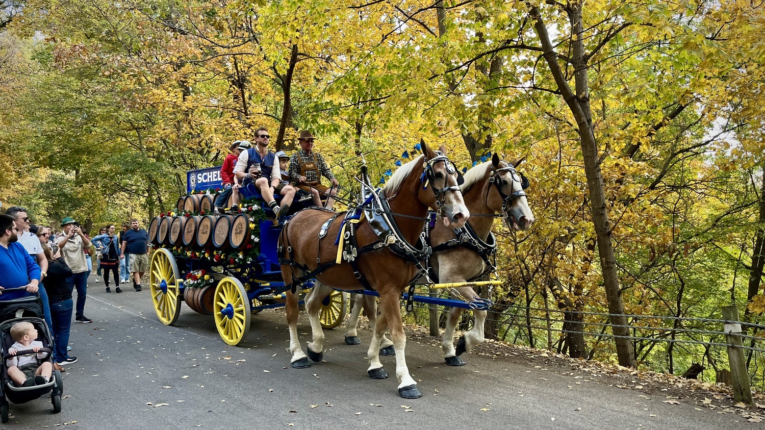 Oktoberfest 2024 at Schell's B