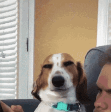 This is the best GIF in existe